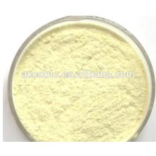 Food Additive Nutritional Ingedients Soy Lecithin Powder